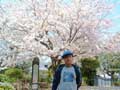 満開の桜の下で僕の写真